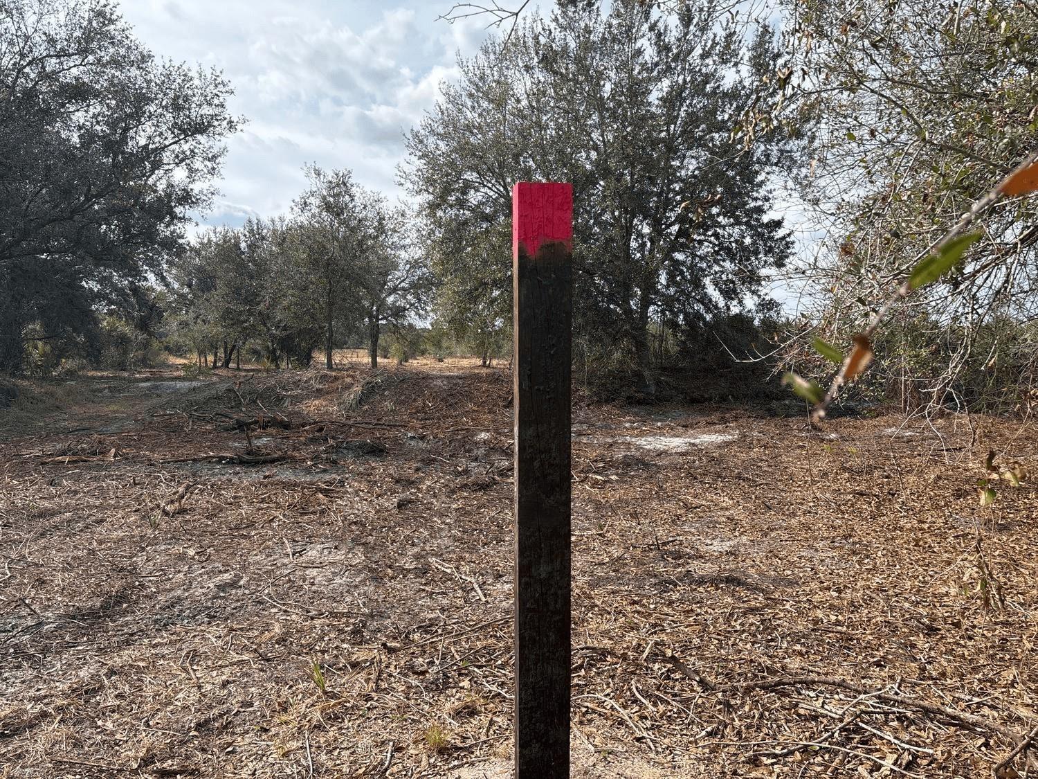 A wooden post with a painted red top stands in a cleared, wooded lot — 0 296th Street, Okeechobee FL 34972, OKEECHOBEE, FL