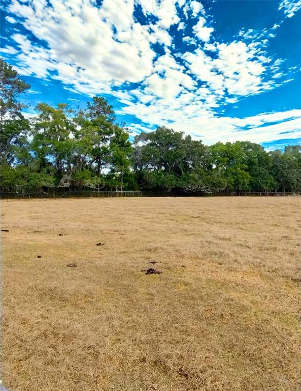 A wide, dry, grassy field is bordered by a line of trees under a cloudy sky — TBD W HWY 326, OCALA, FL