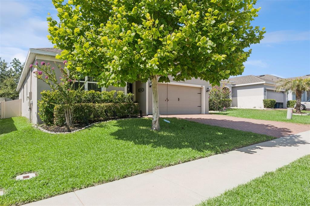 A single-story house with a tan exterior, a paved driveway, and a large front tree — 1144 CAVENDER CREEK ROAD, MINNEOLA, FL