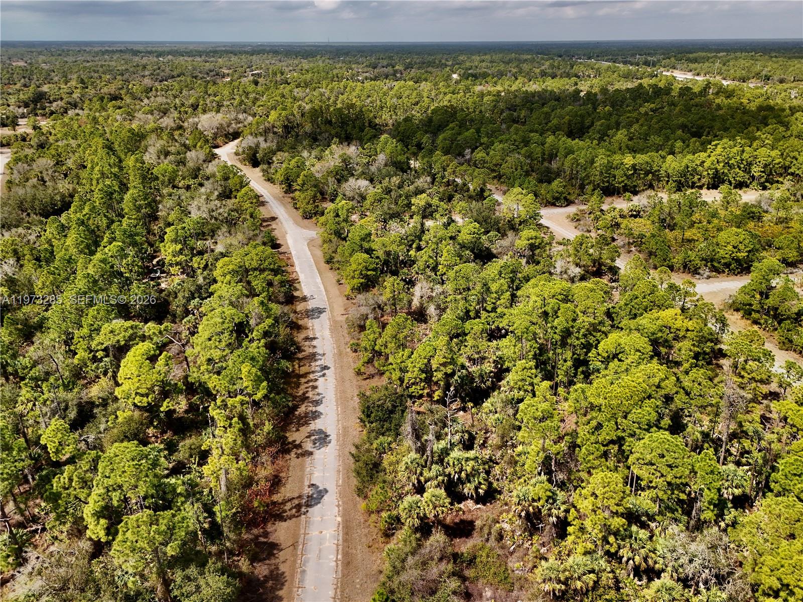 An aerial view shows a narrow paved road winding through a dense, wooded forest area — 0 IRONSIDE ST, North Port FL 34288, NORTH PORT, FL