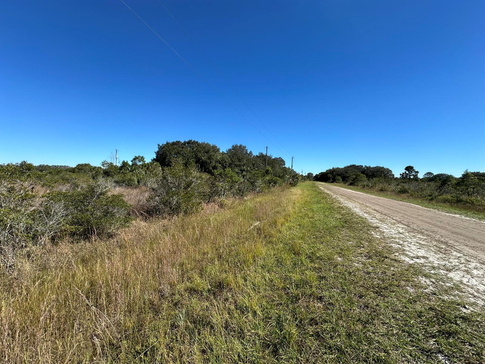 A dirt road runs alongside a grassy field with trees under a clear blue sky — 15415 NW 292nd Street, Okeechobee FL 34972, OKEECHOBEE, FL