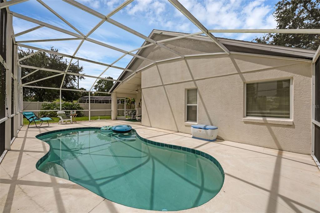A screened-in patio features a kidney-shaped swimming pool and a light-colored concrete deck — 4919 JETTON DRIVE, ORLANDO, FL