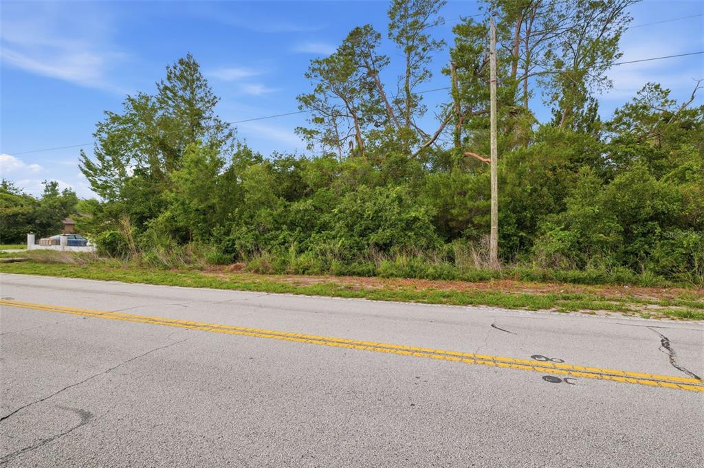 A vacant, wooded lot sits alongside a paved road with a utility pole — 6011 FREEPORT DRIVE, SPRING HILL, FL