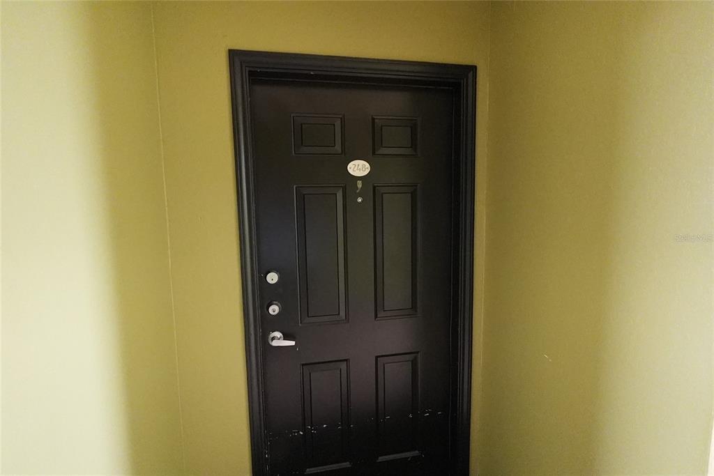 A black front door with a number 248 plaque is set against olive-colored walls — 911 N ORANGE AVENUE UNIT 248, ORLANDO, FL