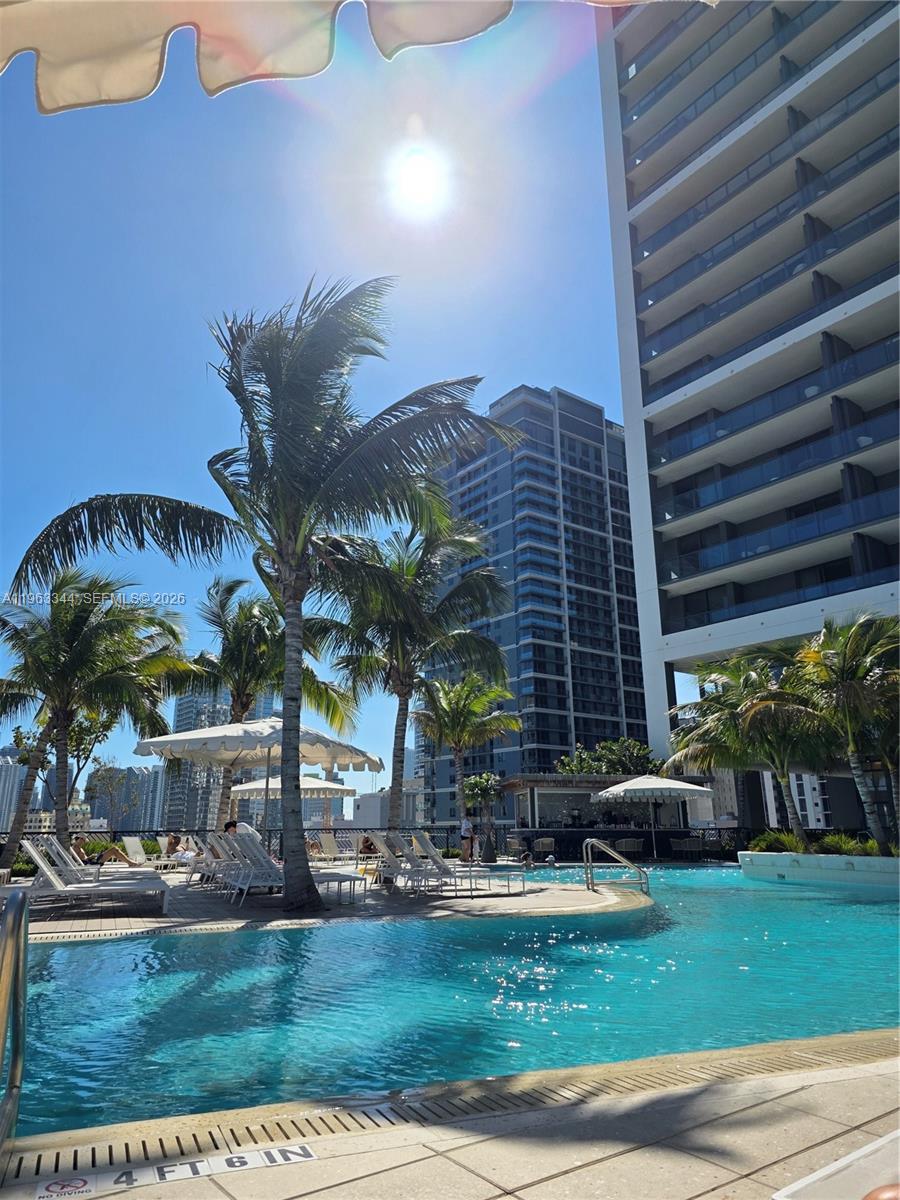 A swimming pool with lounge chairs and palm trees sits in front of tall buildings — 159 NE 6th street # 3311, Miami FL 33132, MIAMI, FL