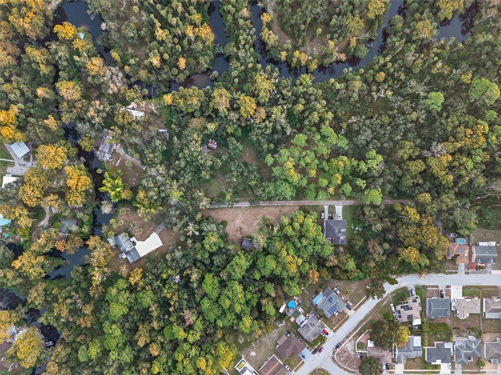 6331 LOST TRAIL, HOLIDAY, FL — photo 5 of 19