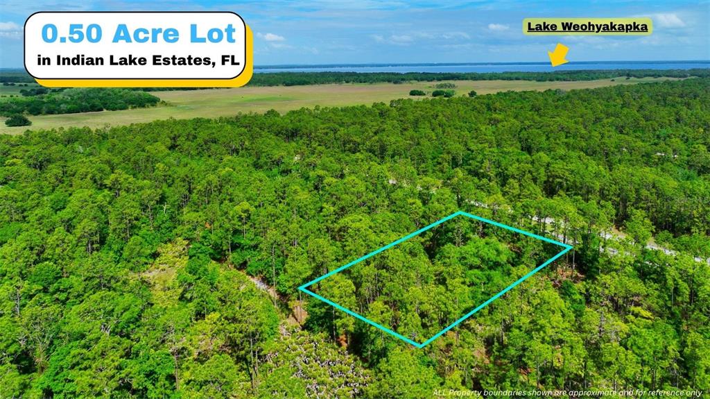 TBD LOT 20 JAPONICA AVENUE