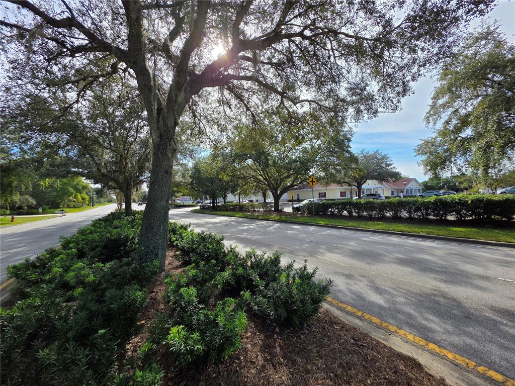 A paved road lined with mature trees and landscaping leads toward a commercial building — TBD HIGHWAY 42, SUMMERFIELD, FL
