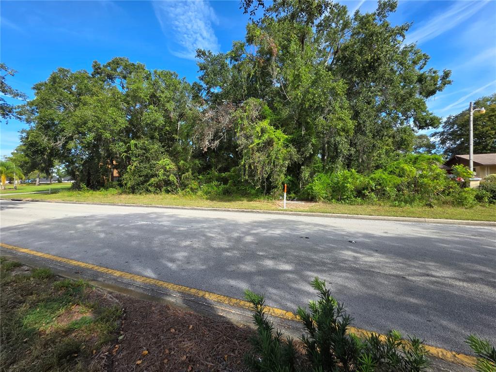 A paved road runs in front of a wooded, undeveloped lot under a blue sky — TBD HIGHWAY 42, SUMMERFIELD, FL