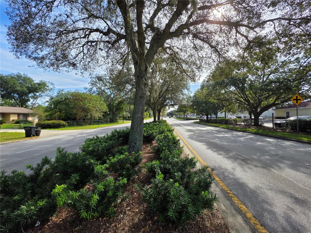 A tree-lined street features a landscaped median with shrubs between two paved roads — TBD HIGHWAY 42, SUMMERFIELD, FL
