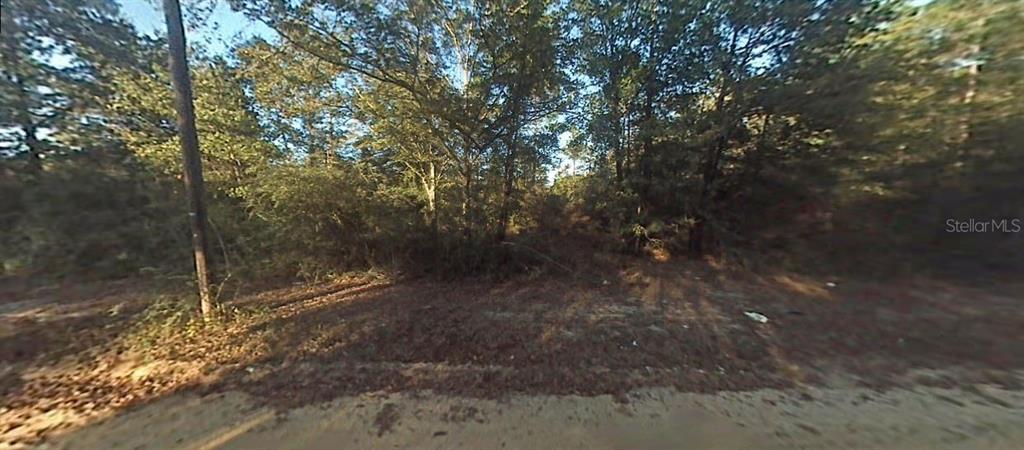 This is a view of a wooded, undeveloped lot from a dirt road — 12307 3RD STREET, FOUNTAIN, FL