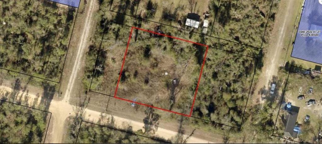 An aerial view of a rectangular, wooded vacant lot outlined in red — 12307 3RD STREET, FOUNTAIN, FL