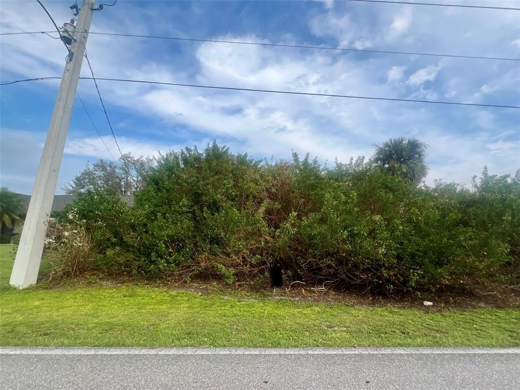A dense thicket of shrubs and trees grows on a vacant lot beside a road — 1088 INVERNESS STREET, PORT CHARLOTTE, FL