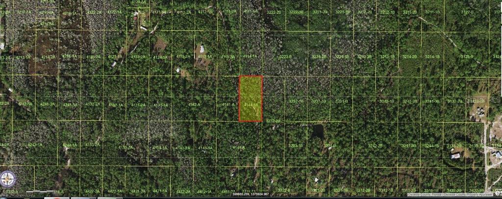 HOLOPAW GROVES ROAD