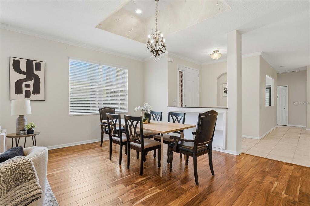 A dining room features a wooden table, dark chairs, a chandelier, and hardwood flooring — 8005 SHADDOCK PLACE, LAND O LAKES, FL