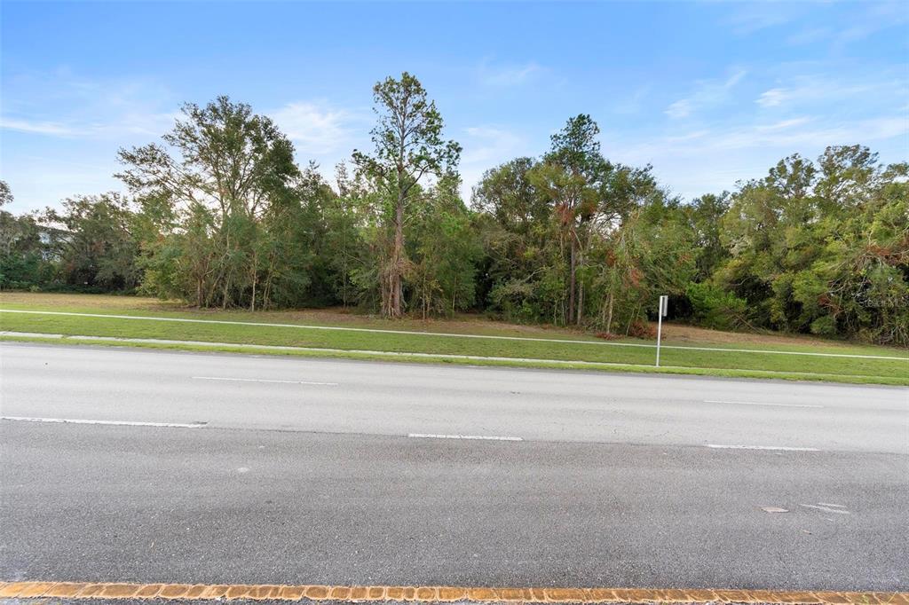 A paved road runs in front of a grassy strip and a wooded lot — 214 W INTERNATIONAL SPEEDWAY BOULEVARD, DELAND, FL