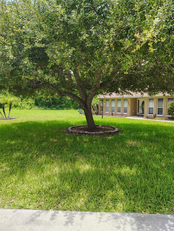A single-story house with a brown roof and tan exterior sits behind a grassy lawn — 3226 WHEELER COURT, DOVER, FL
