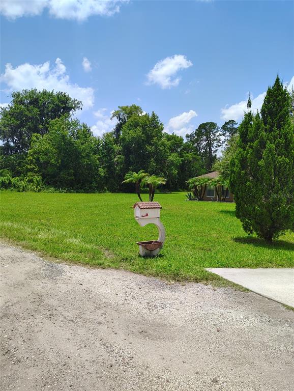 A gravel driveway leads to a concrete path, a small shed, and a unique mailbox — 3226 WHEELER COURT, DOVER, FL