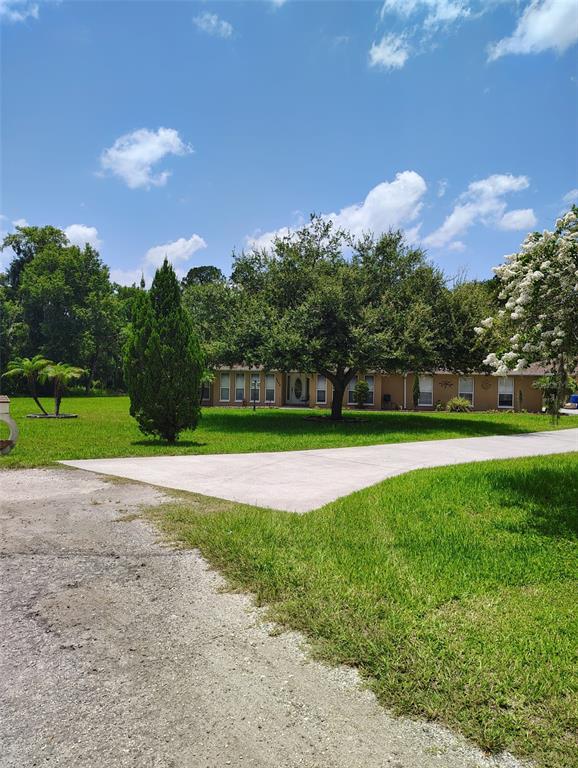 A unique curved concrete mailbox stands in a grassy yard before a wooded background — 3226 WHEELER COURT, DOVER, FL