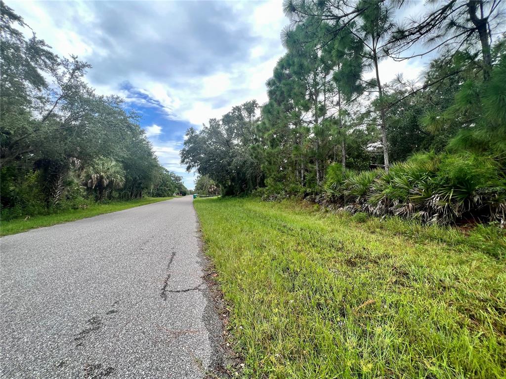 A paved road runs alongside a grassy area bordered by trees and dense vegetation — 5291 HOFFMAN STREET, PORT CHARLOTTE, FL