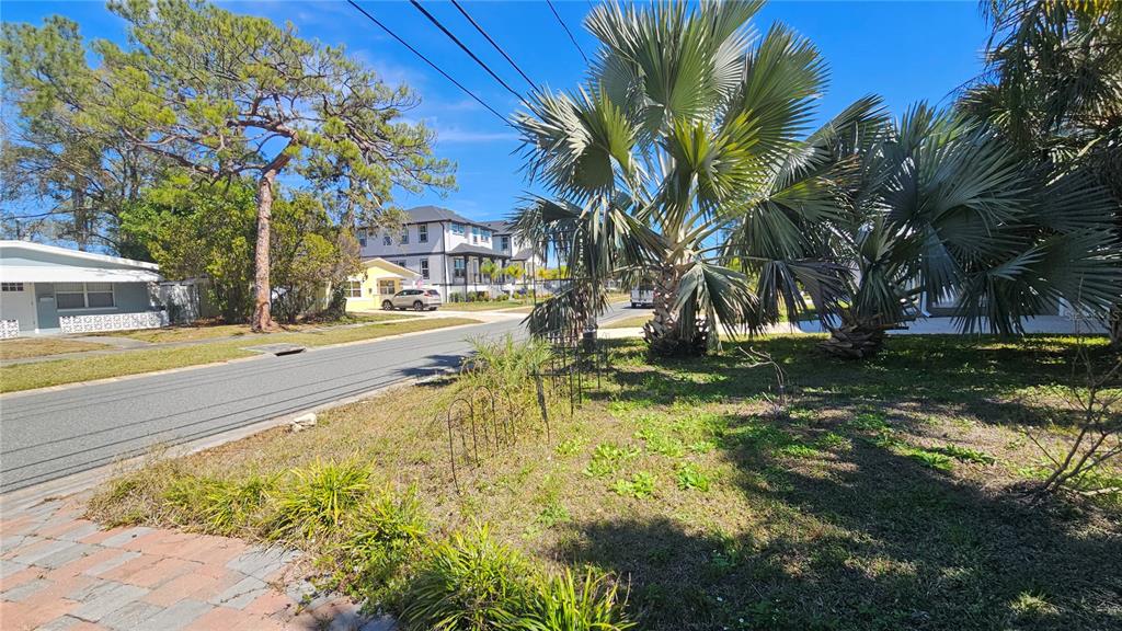 A residential street scene featuring a paved road, palm trees, and nearby houses — 208 48TH AVENUE N, ST PETERSBURG, FL