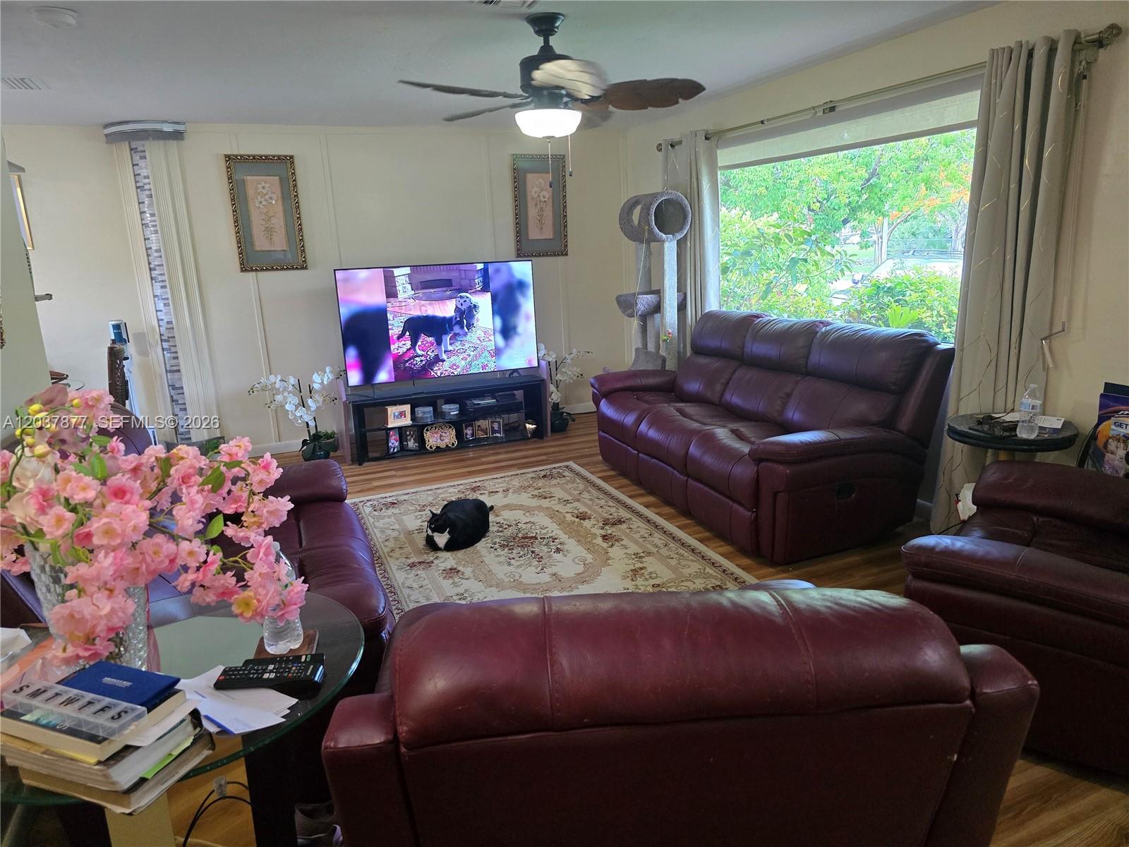 A living room features burgundy leather furniture, a television, and a cat on a rug — 19500 SW 87th Ave, Cutler Bay FL 33157, CUTLER BAY, FL