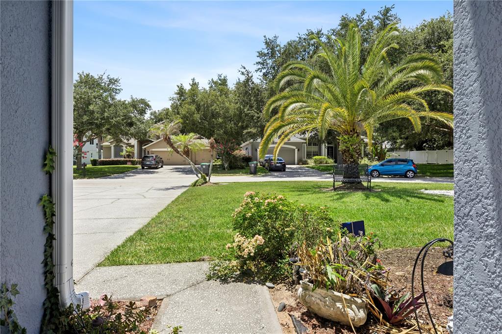 A view from a porch looking out over a suburban lawn, driveway, and palm tree — 710 REGINA CIRCLE, OAKLAND, FL