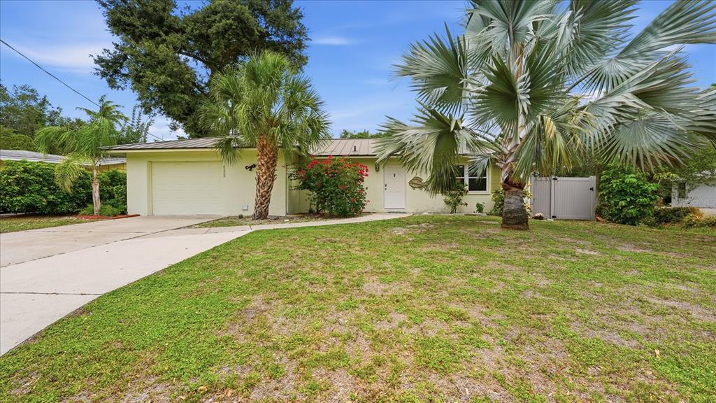 A single-story house with a light-colored exterior, a metal roof, and palm trees in front — 6233 ROCKEFELLER AVENUE, SARASOTA, FL