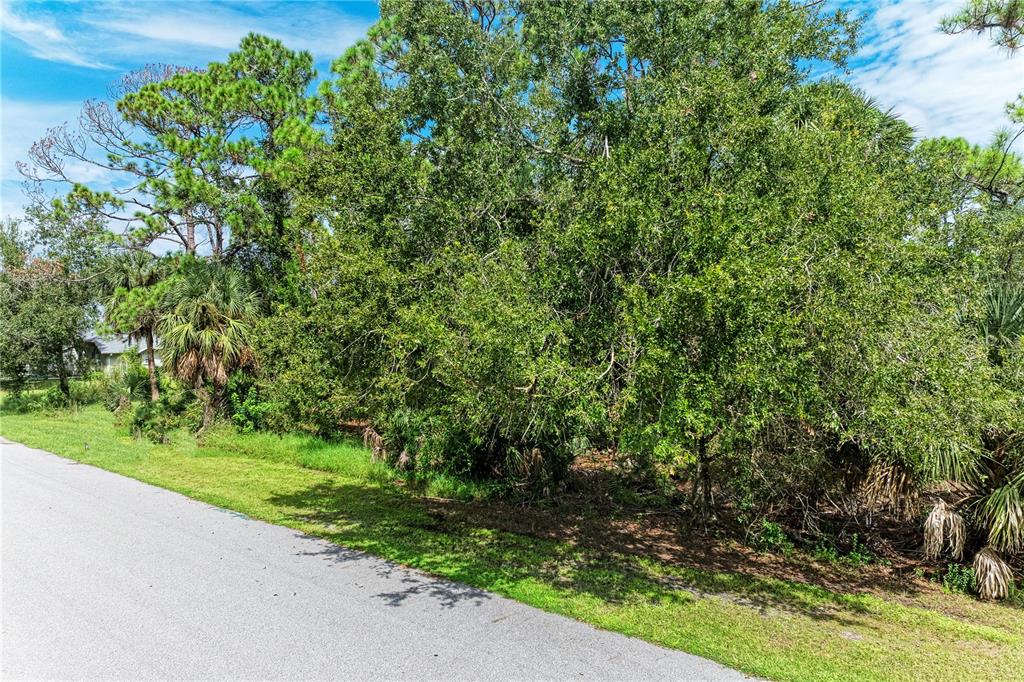 A paved road runs alongside a wooded lot with dense trees and palm plants — 15106 GULISTAN AVENUE, PORT CHARLOTTE, FL