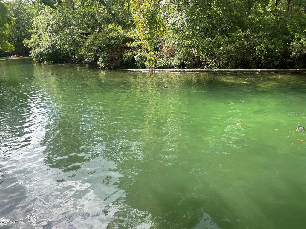 6120 WAVERLY ROAD, WEEKI WACHEE, FL — photo 3 of 4