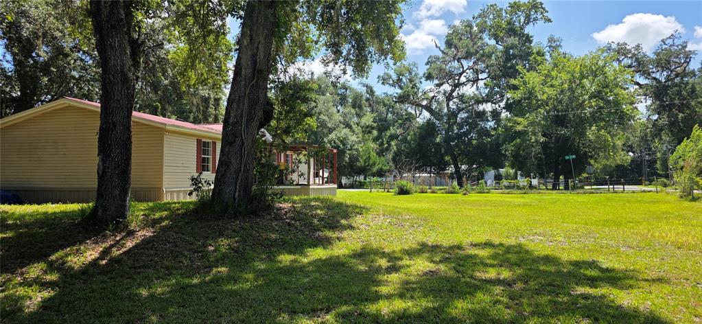 A light-colored mobile home sits on a grassy lot shaded by large, mature oak trees — 11736 CR 675W, WEBSTER, FL