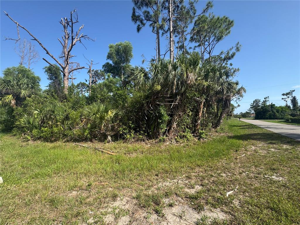 A vacant, wooded lot with tall pine trees and palmettos borders a paved road — 12401 PERRINE AVENUE, PORT CHARLOTTE, FL