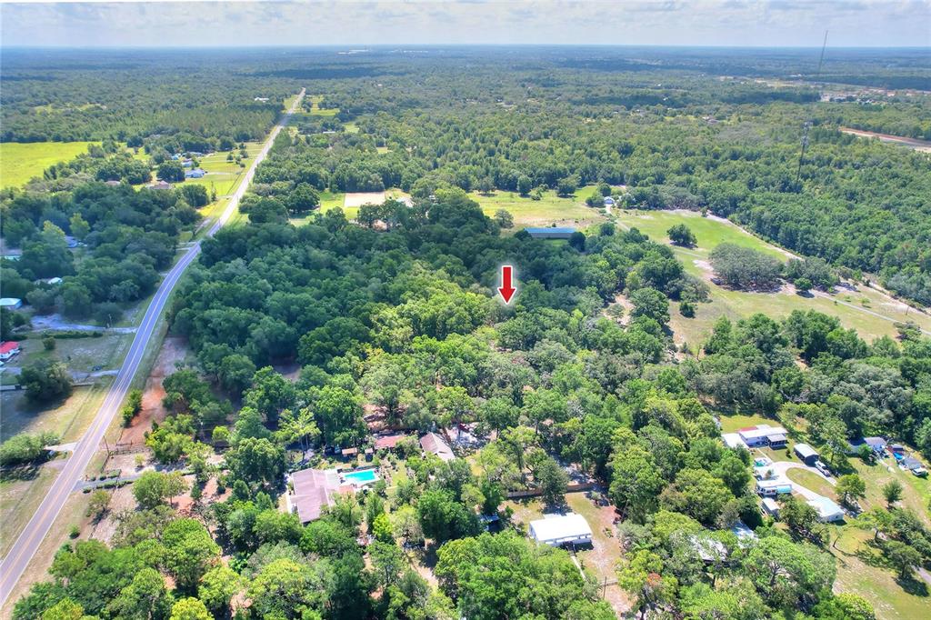 An aerial view shows a wooded residential lot marked by a red arrow — 11000 KITTEN TRAIL, HUDSON, FL