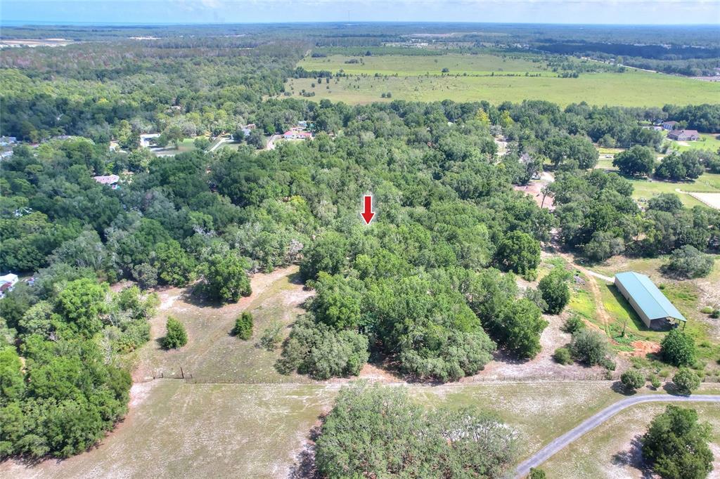 An aerial view shows a wooded lot marked by a red arrow — 11000 KITTEN TRAIL, HUDSON, FL