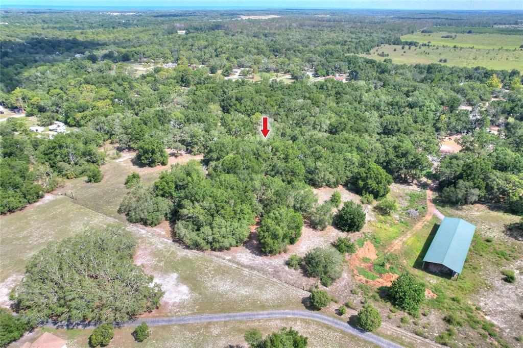 An aerial view shows a wooded lot with a red arrow pointing toward trees — 11000 KITTEN TRAIL, HUDSON, FL