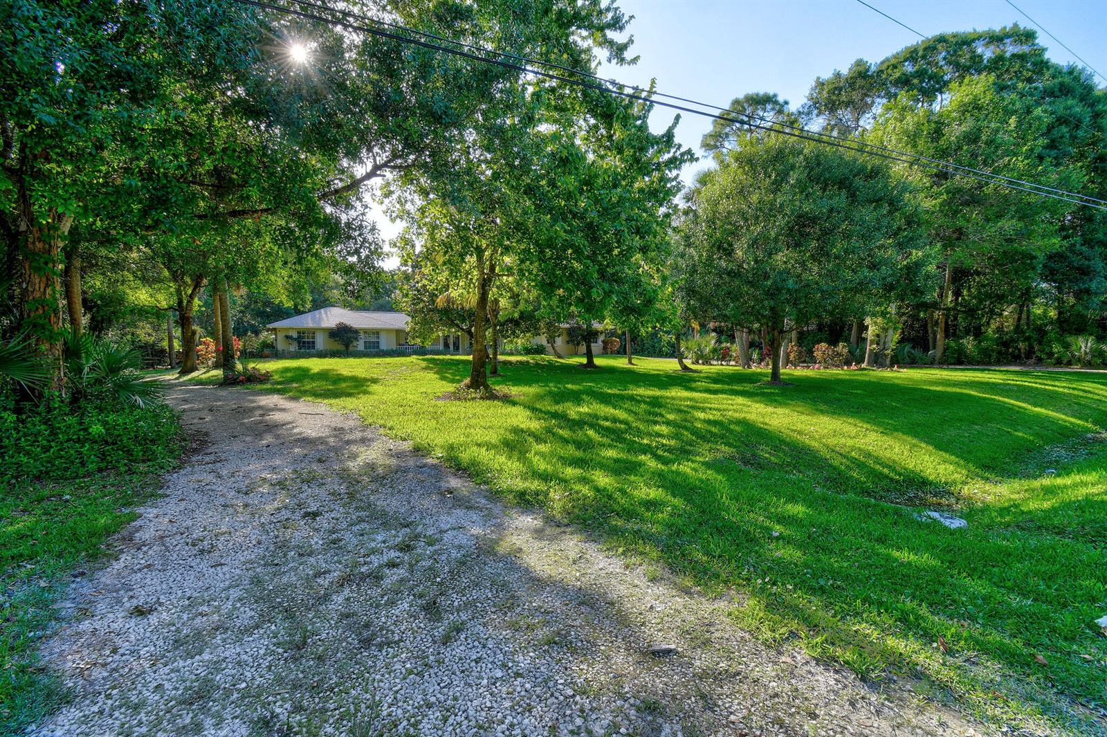 A gravel driveway leads toward a one-story house surrounded by a large, grassy yard — 17861 Winterhawk Trail, FL 33478, FL