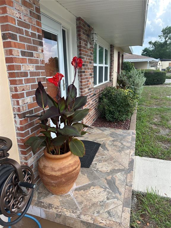 A potted red canna lily sits on a tiled porch next to a brick house — 1117 NEWHOPE ROAD, SPRING HILL, FL