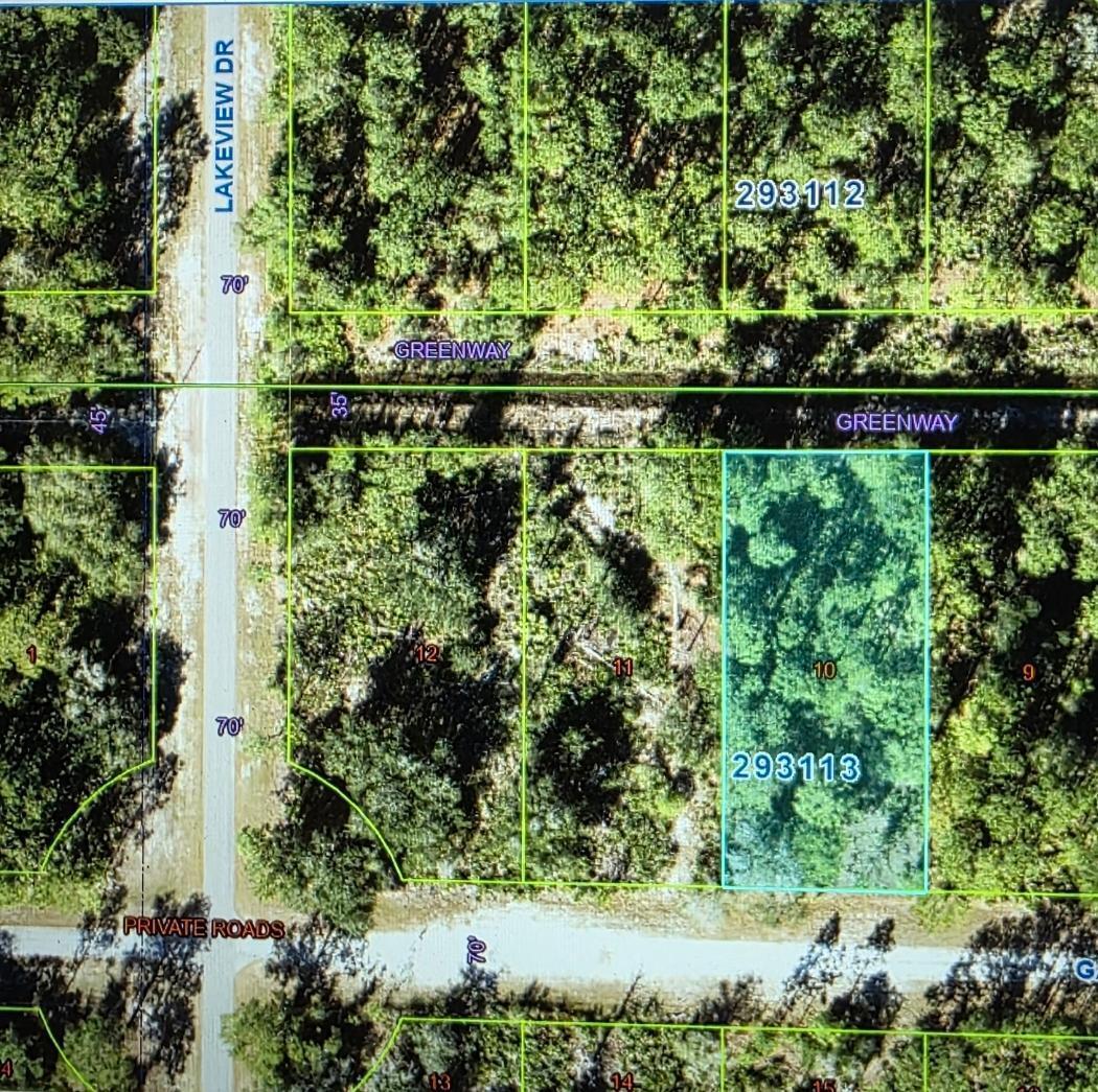 This is a satellite map view showing a rectangular plot of land labeled 293113 — 920 Gaillardia Drive, FL 33855, FL