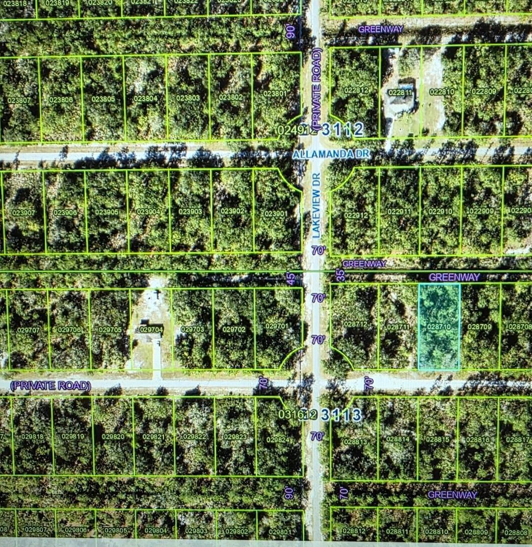 This is a satellite map showing a grid of residential land parcels and private roads — 920 Gaillardia Drive, FL 33855, FL
