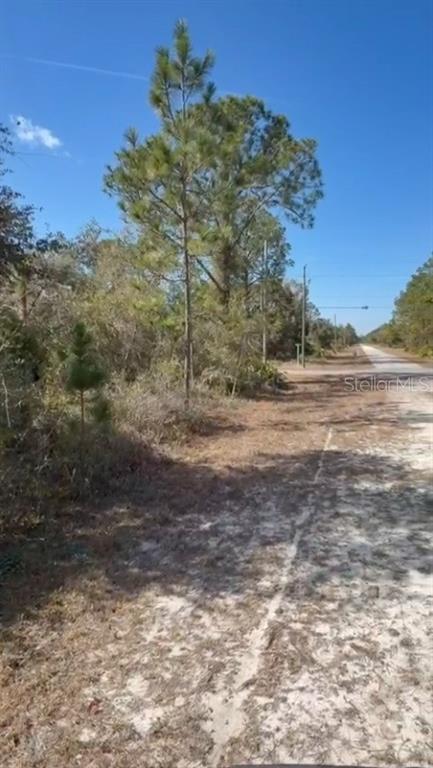 A dirt road runs alongside a wooded lot with pine trees under a clear sky — 923 GAILLARDIA DRIVE, INDIAN LAKE ESTATES, FL