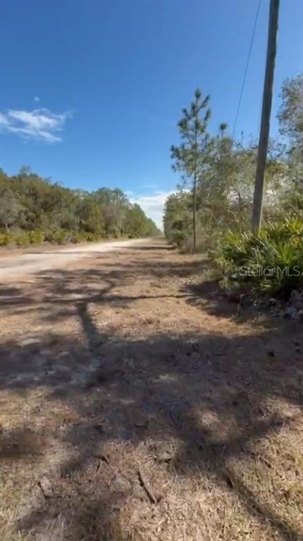 A dirt road stretches through a wooded area under a clear blue sky — 923 GAILLARDIA DRIVE, INDIAN LAKE ESTATES, FL