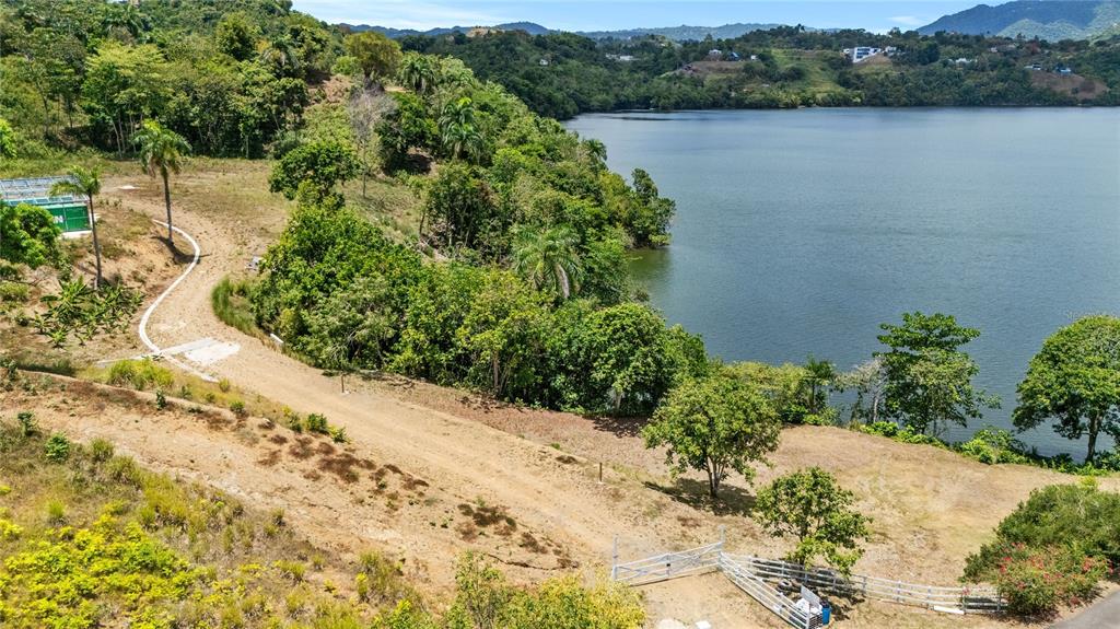 An aerial view shows a dirt road leading toward a lake surrounded by lush hills — CARR 827 KM 5.0, INTERIOR, BO. ORTIZ, LOT 1 & 2, TOA ALTA, PR