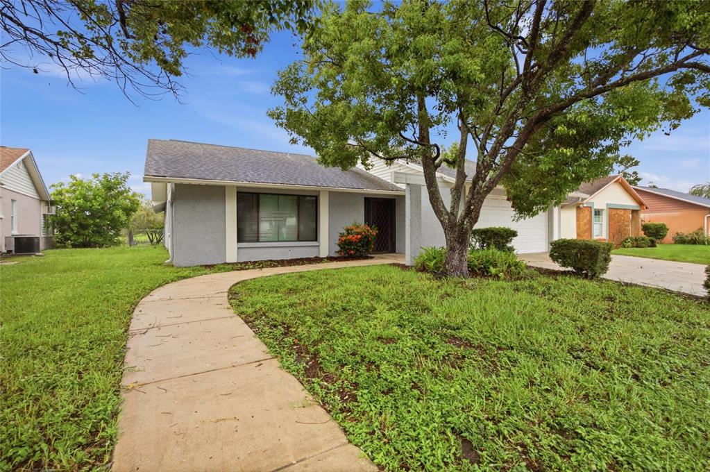 A single-story house with a gray stucco exterior, a concrete walkway, and a large tree — 7537 HUMBOLDT AVENUE, NEW PORT RICHEY, FL