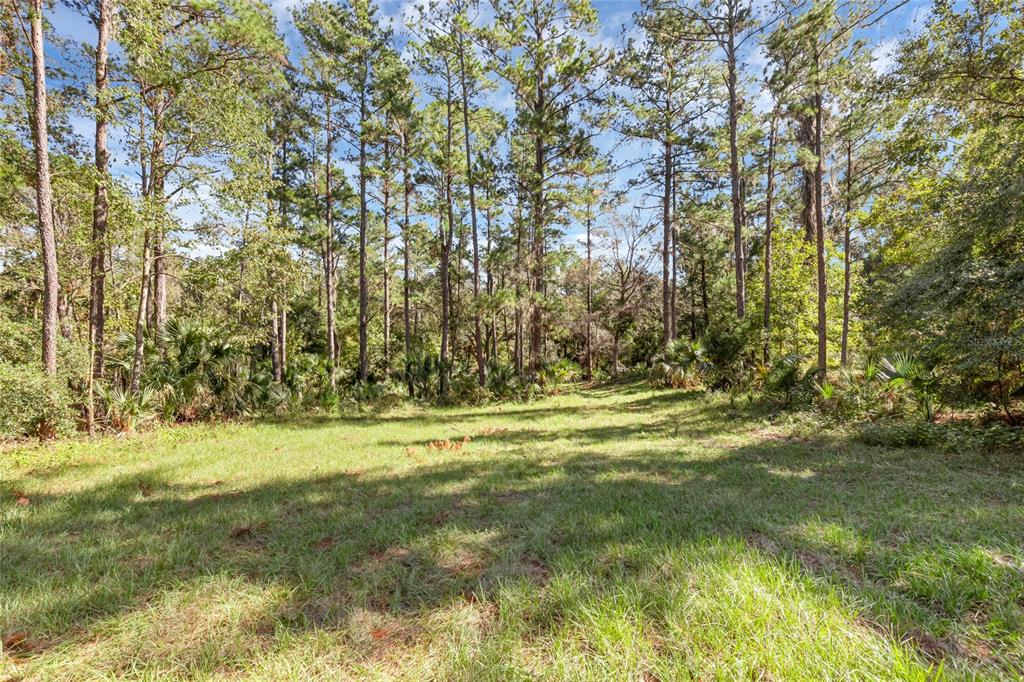 BRONSON ROAD, SORRENTO, FL — photo 5 of 29