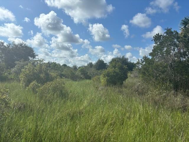 A grassy field with scattered shrubs and trees under a blue sky with white clouds — 0 NW 316th Street, Okeechobee FL 34972, OKEECHOBEE, FL