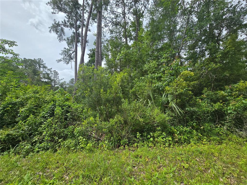 320 SEQUOIA DRIVE