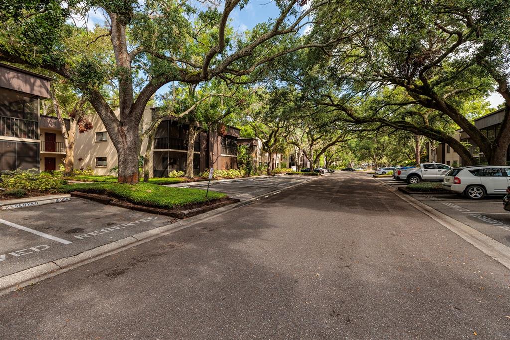 A paved parking lot lined with apartment buildings and large, mature oak trees — 11708 RAINTREE VILLAGE BOULEVARD UNIT A, TEMPLE TERRACE, FL
