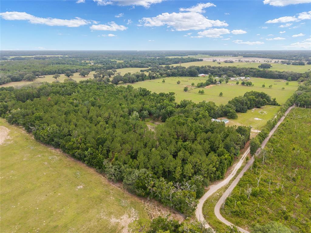 An aerial view shows a large wooded area bordered by open pastures and a dirt road — 0 SW 234TH STREET, NEWBERRY, FL