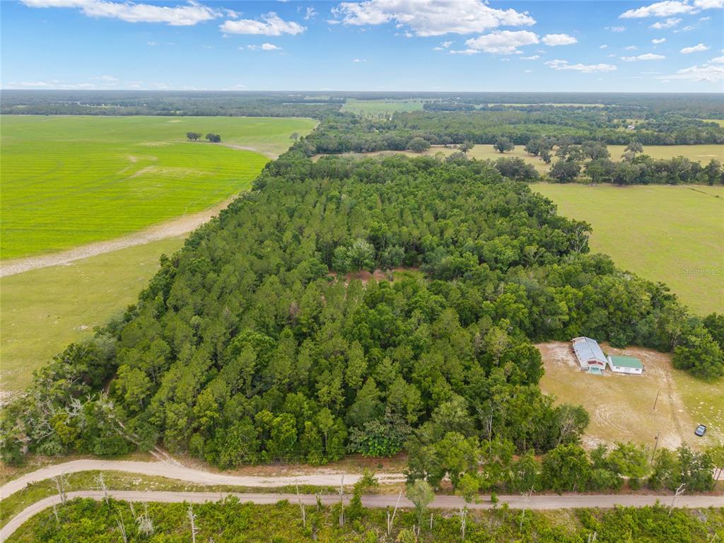 An aerial view shows a large wooded lot bordered by open fields and a dirt road — 0 SW 234TH STREET, NEWBERRY, FL