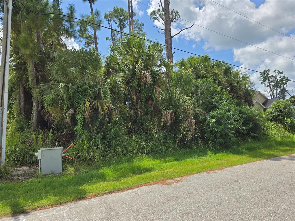 A vacant, overgrown lot with palm trees and dense vegetation sits beside a paved road — TRENTWOOD LANE, NORTH PORT, FL
